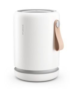 Molekule Air Mini+